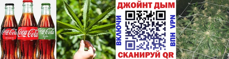 Cannafood конопля Липецк