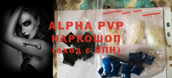 твердый Богданович