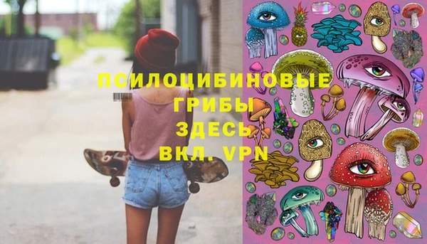 соль ск Богородск