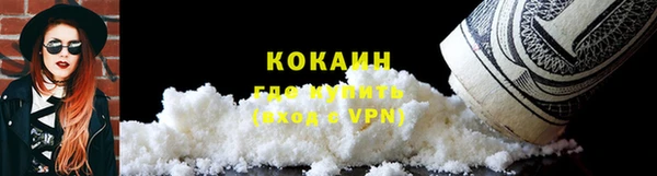 твердый Богданович