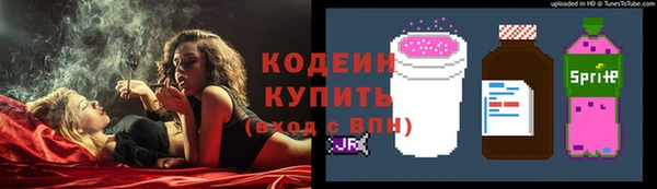 соль ск Богородск