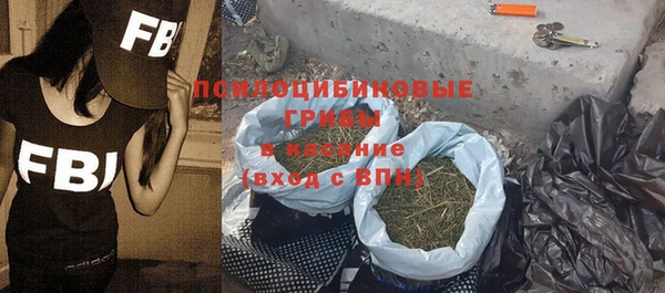 твердый Богданович