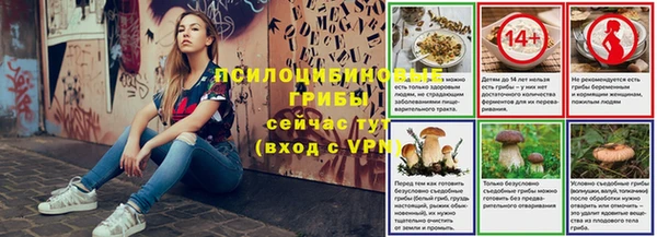 твердый Богданович