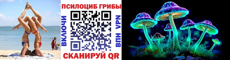 где можно купить   Липецк  Псилоцибиновые грибы Psilocybine cubensis 